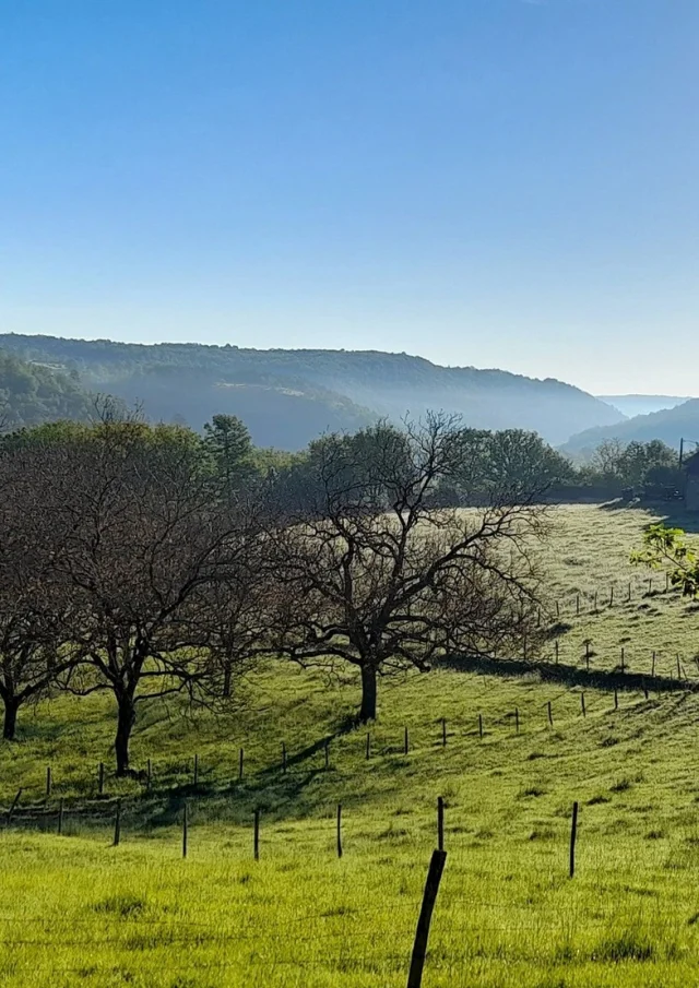 Gite Vacances Campagne Gites France