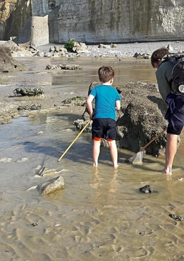 Gite Vacances Mer Grandes Marees