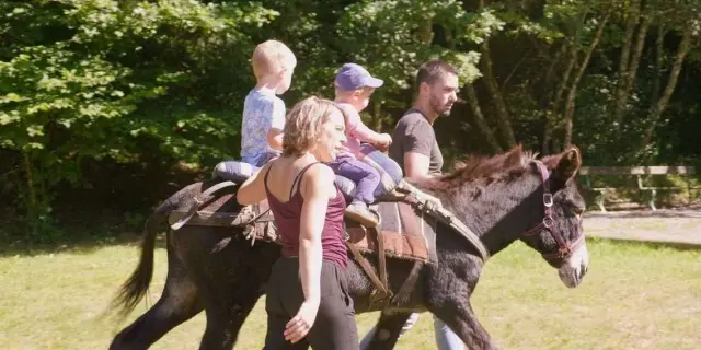 Randonnee A Cheval Balades A Dos Dane Avec Enfants Dans Lherault Au Village De Gites Le Moulinet