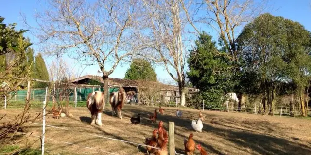 Randonnee A Cheval Equitation Vacances Gite Lot Et Garonne Village De Gites La Ferme Couderc Parc Animalier Poneys Poules