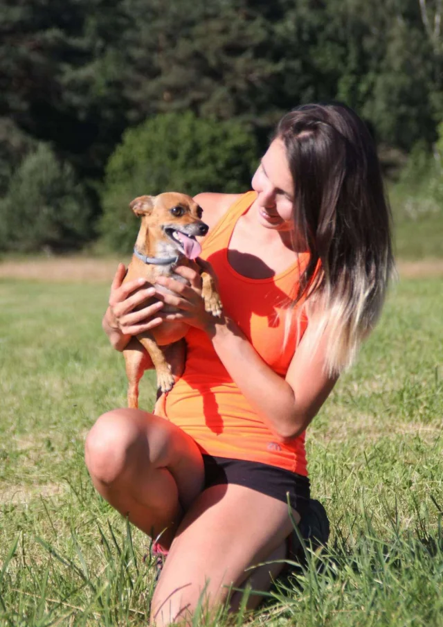 Louer Un Gite Acceptant Les Animaux