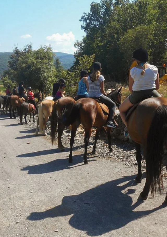 Randonnee A Cheval Balades A Cheval En Ardeche Pendant Les Vacances En Village De Gites