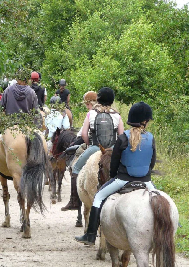 Randonnee A Cheval Balades A Poney Pour Les Enfants Pendant Les Vacances Dans Les Hauts De France