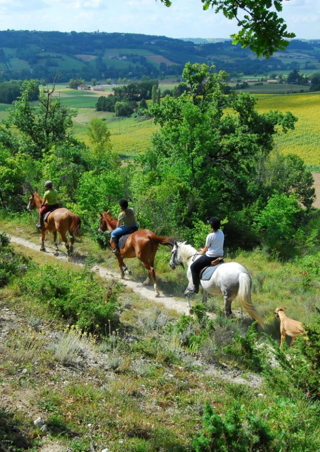 Randonnee A Cheval Pratiquer Equitation Pendant Les Vacances Gites En Tarn Et Garonne