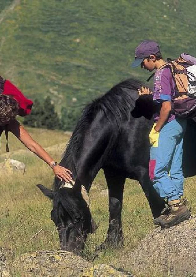 Randonnee A Cheval Randonnees Equestres Et Equitation Dans Les Pyrenees Pendant Les Vacances En Village De Gites En Ariege