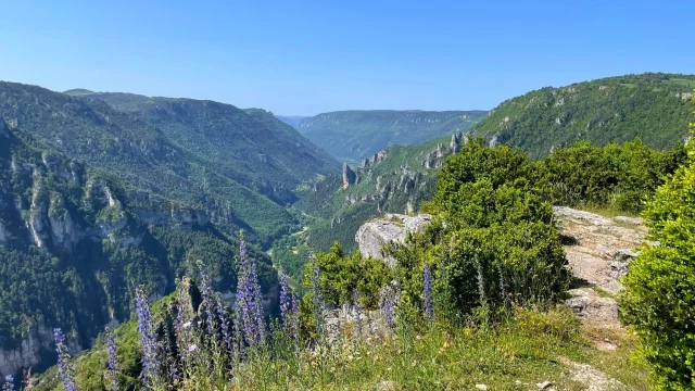Lozere Tourisme Gorges De La Jonte Et Du Tarn Randonnees Villages De Gites France