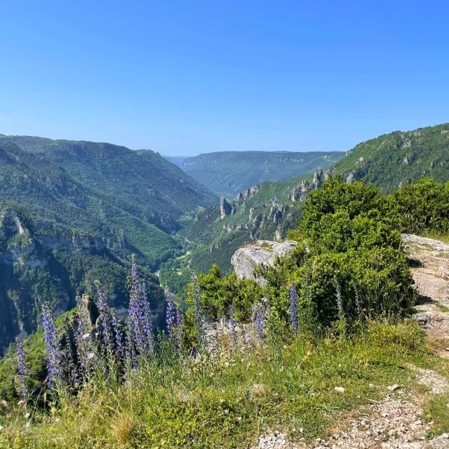 Lozere Tourisme Gorges De La Jonte Et Du Tarn Randonnees Villages De Gites France