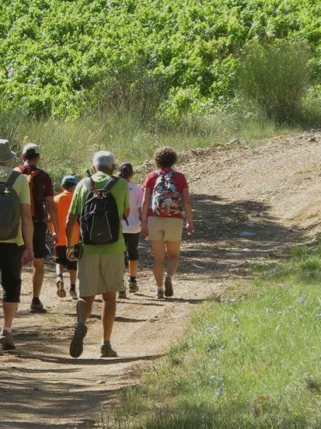 Seizoensverhuur In Frankrijk Voor Actieve Vakanties Met Wandelen Of Sporten