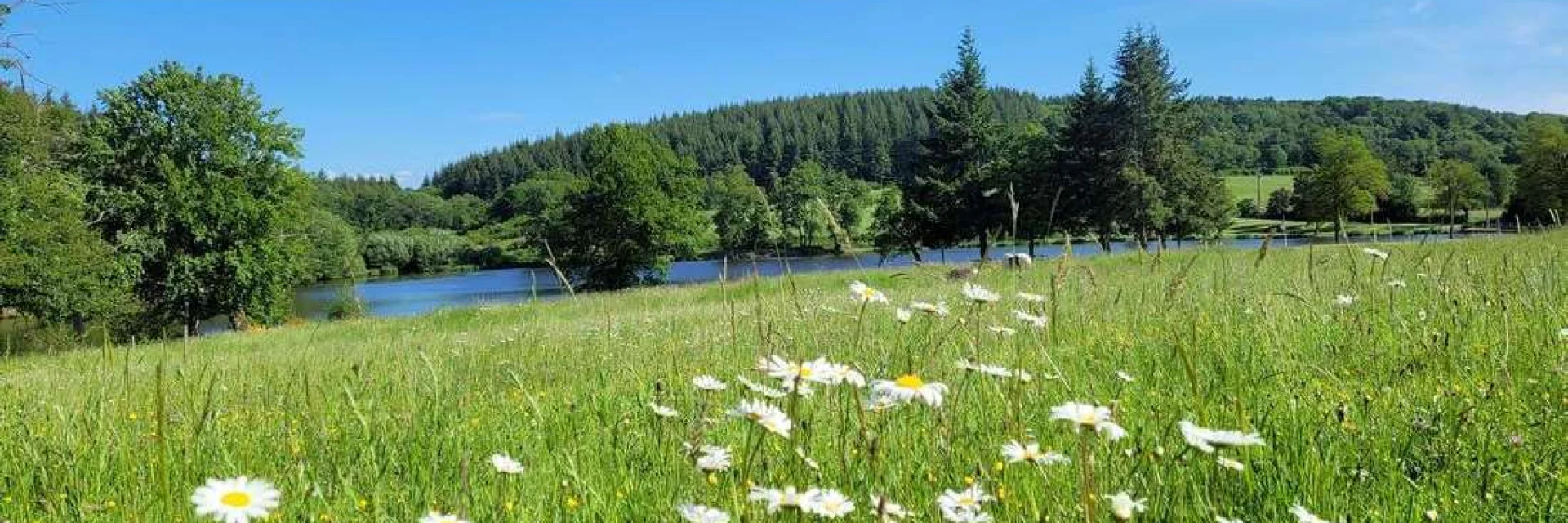 Holiday Rentals In The Countryside Gites In France