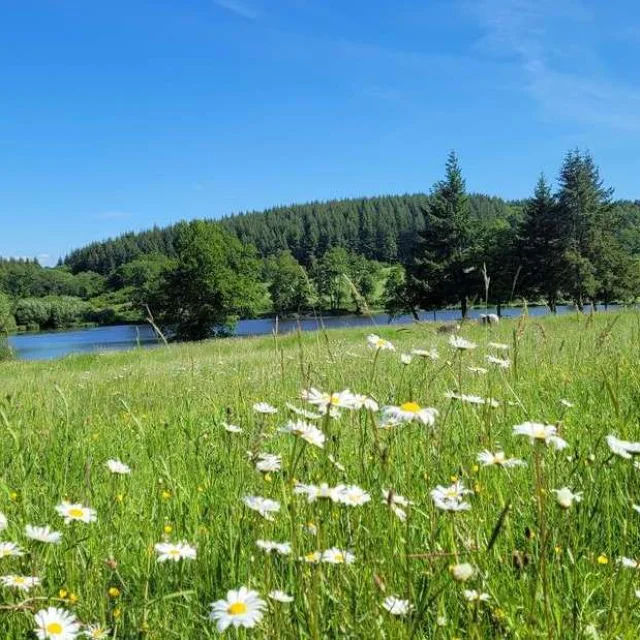 Location Vacances A La Campagne Gites France