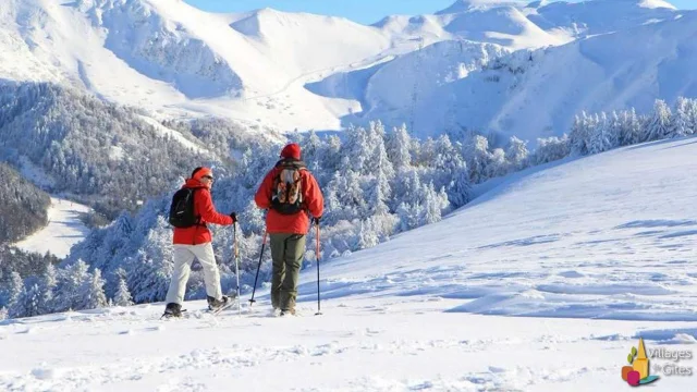 Vacances Actives Sports Hiver Ski Montagne