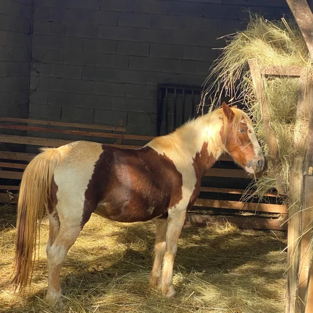 Instagram #villagesdegites