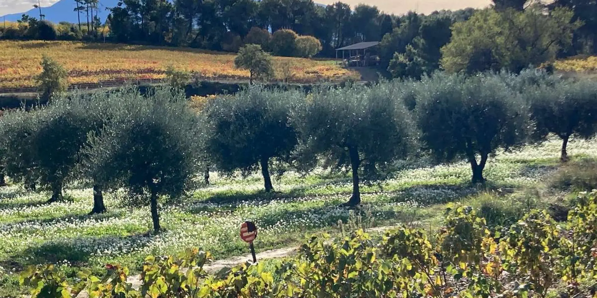 Drome Provencale Paysage Mirabel Aux Baronnies Location Vacances Gite