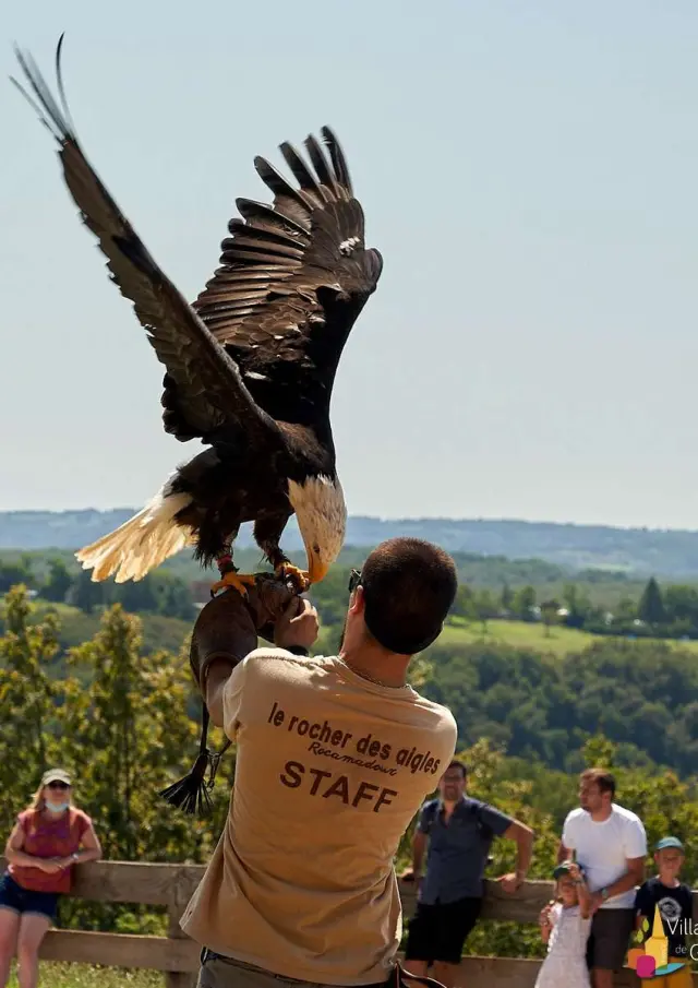 Location Gite Vacances En Aveyron Les Chalets De La Colline 08 Tourisme Aveyron Le Rocher Des Aigles01