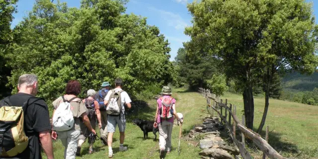 Village De Gites Ravel Gard Cevennes 08 Groupe Randonneurs Marcheurs Randonnees Dans Les Cevennes Campagne