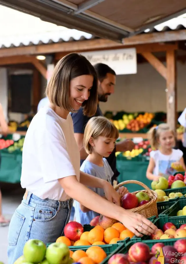 Gite Cheque Vacances Ancv Location Vacances En Provence Villages Gites De France Marche Provencal 05