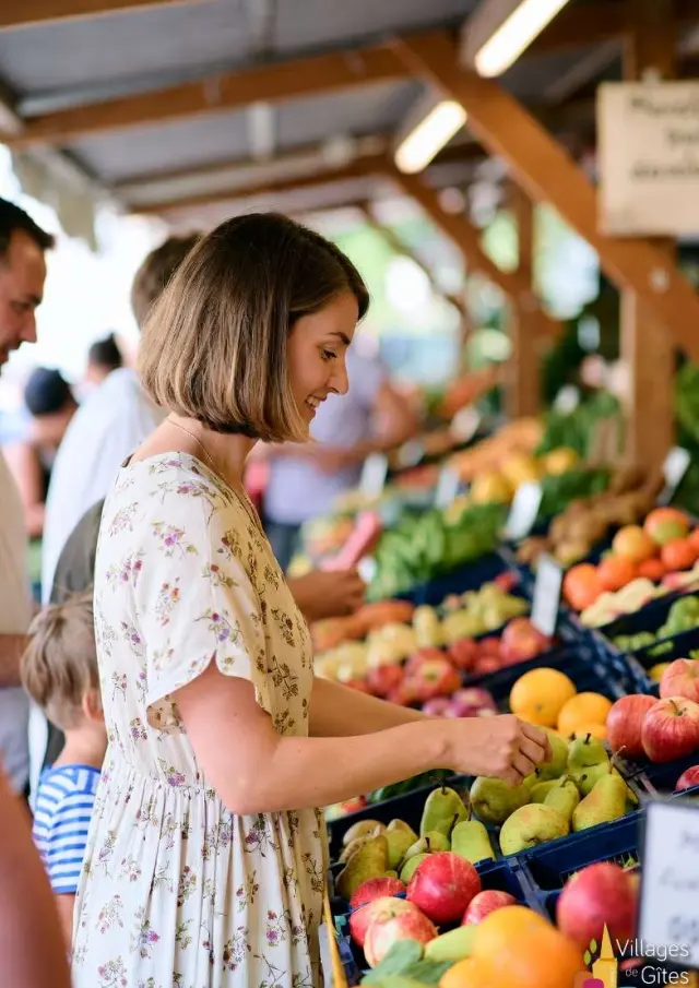 Gite Cheque Vacances Ancv Location Vacances En Provence Villages Gites De France Marche Provencal 08