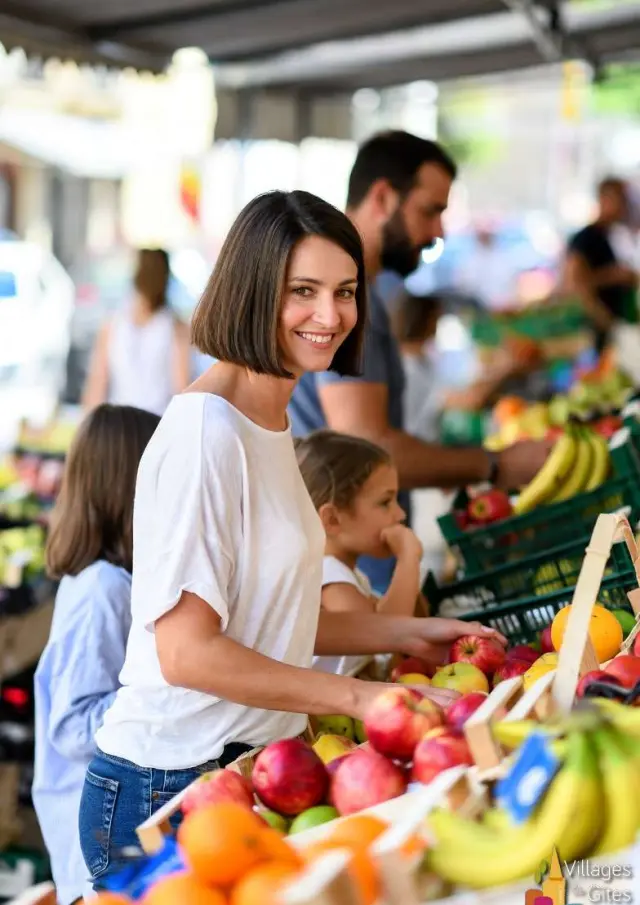 Gite Cheque Vacances Ancv Location Vacances En Provence Villages Gites De France Marche Provencal 11