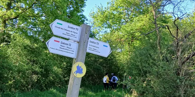 Pays De Loire Maine Et Loire Anjou Vauchretien Chateau Brissac Randonnees