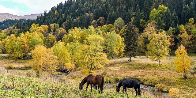 Gite Montpellier Herault Gites Equestres