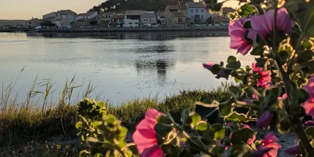 Gite Montpellier Herault Gruissan