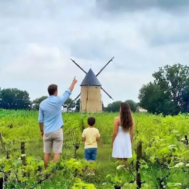 Gite En Vendee Location De Vacances En Villages De Gites De Vendee