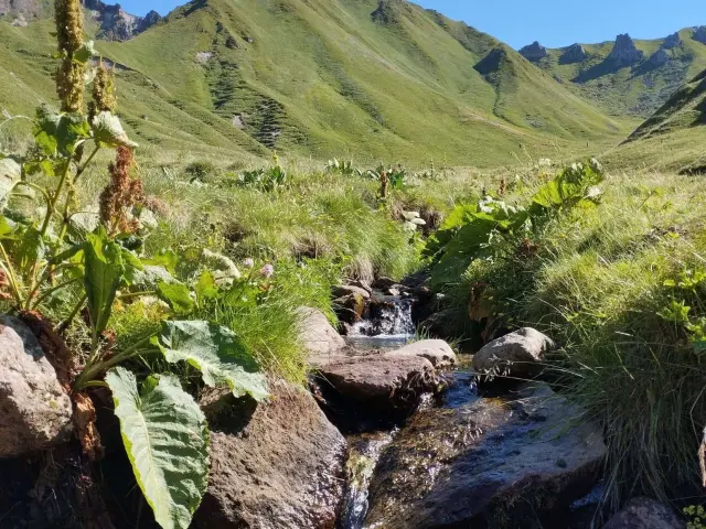 Puy De Dome Auvergne Nature Paysage