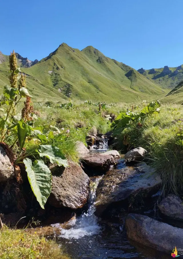 Puy De Dome Auvergne Nature Paysage 1