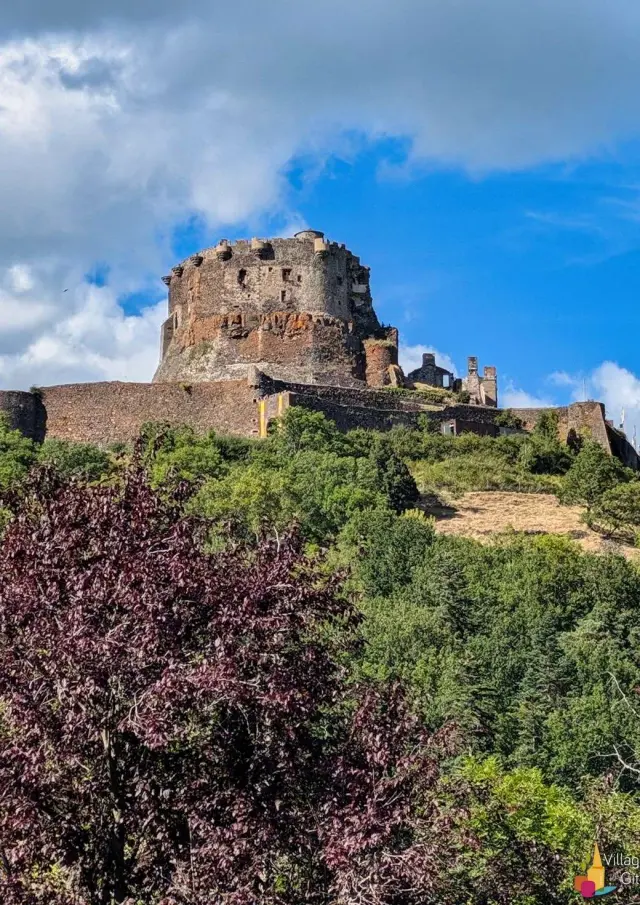 Gite France Puy De Dome Murol