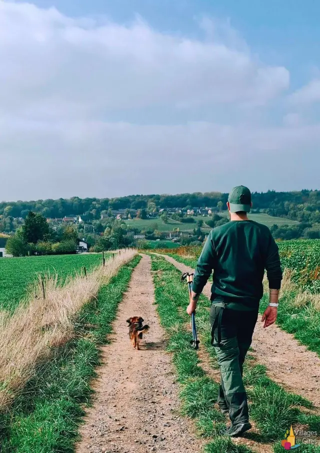 Partir En Vacances Avec Un Chien Balades Et Randonnees A La Campagne