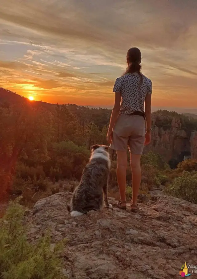 Partir En Vacances Et Randonner Avec Un Chien