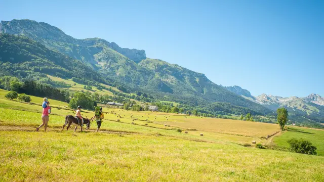 Deux personnes marchant avec des ânes dans un champ en montagne