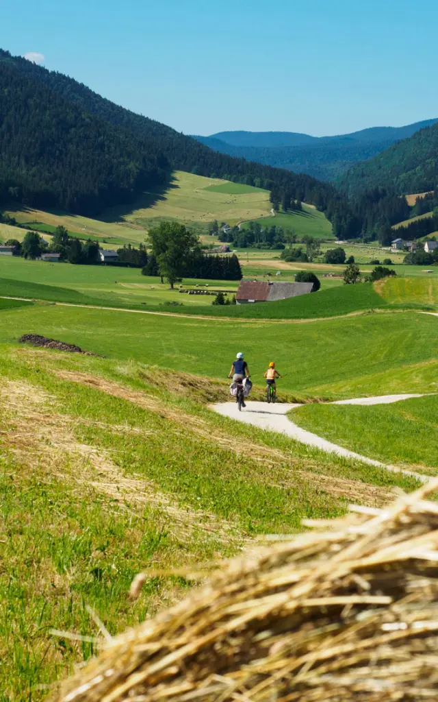 ViaVercors ©chilowe Su ispirazione di Vercors