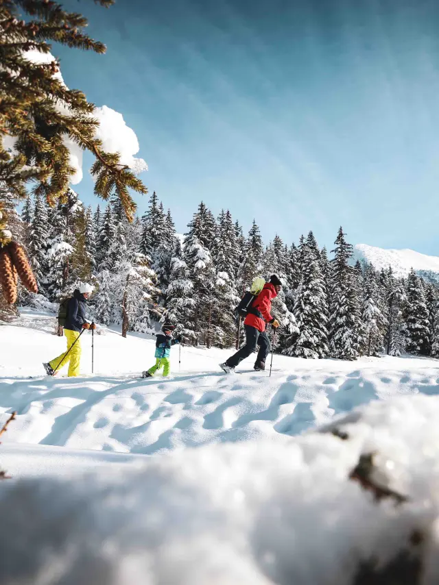 ©klip Raquette Vercors 03 2