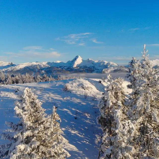 creato da dji camera