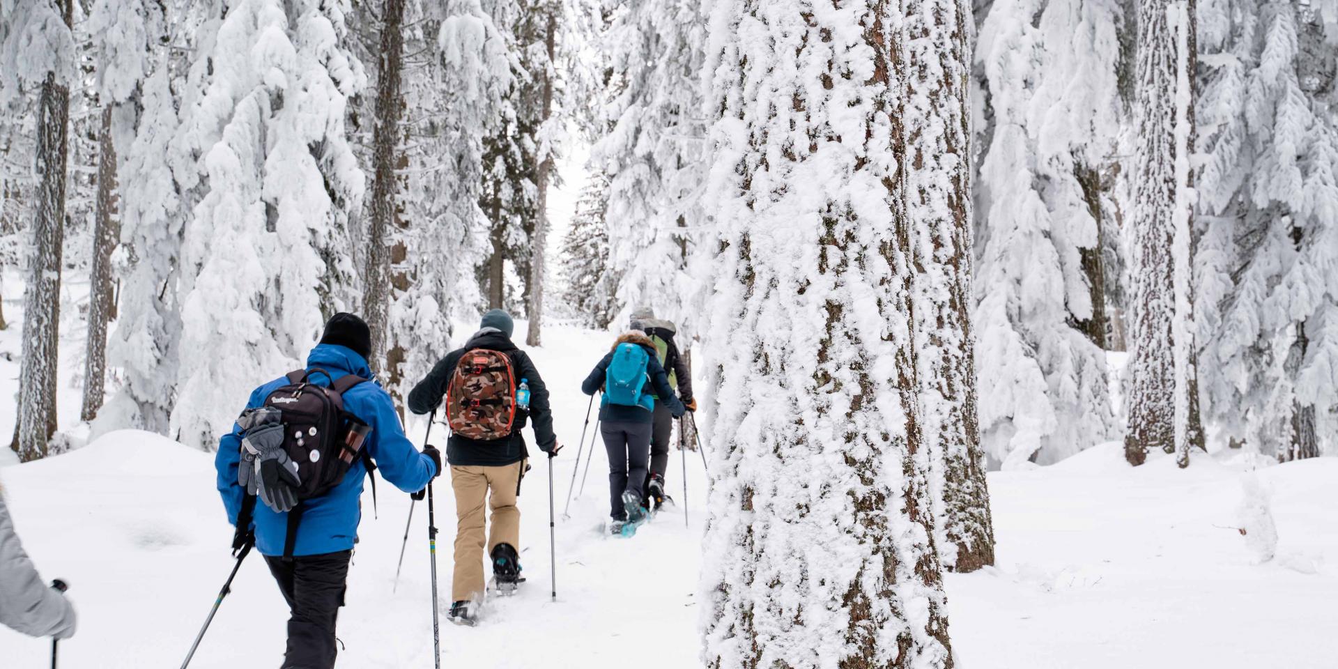 Loueurs et vendeurs de raquette Office de tourisme de Villard de Lans