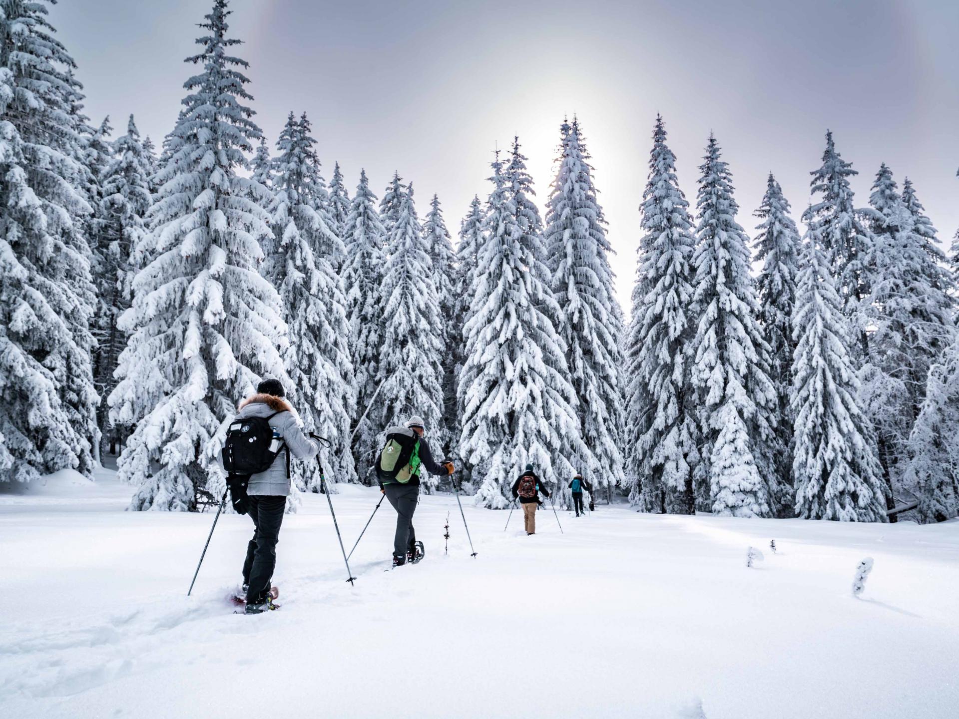 Raquettes Office de tourisme de Villard de Lans / Corrençon en Vercors