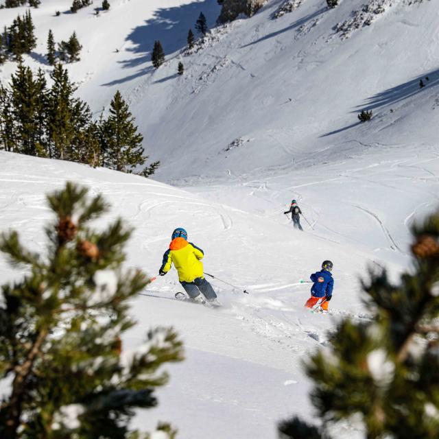 ©klipproductions Ski Pistes Famille Droits Jusqu'a Fin2027 (3)