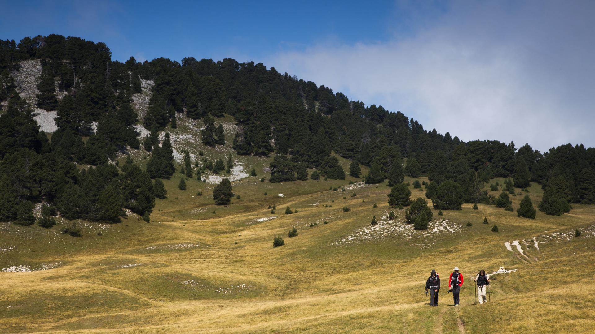 GR91 traversée du Vercors par Villard et Corrençon Office de