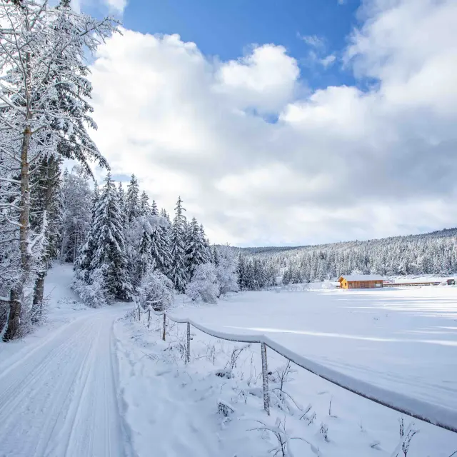 ©carolesavary Paysage Corrençon (6)