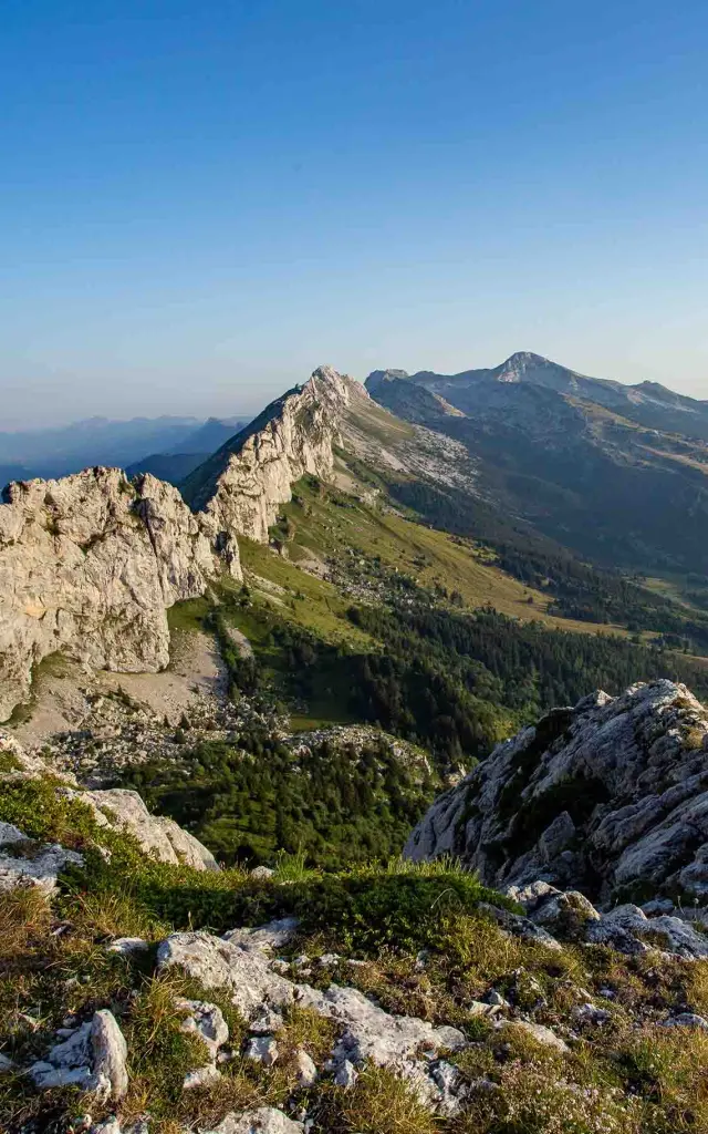 ©carolesavary Paysage Eté (74)