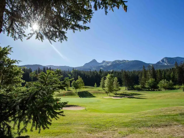 ©carolesavary Paysage Eté (41) (1)