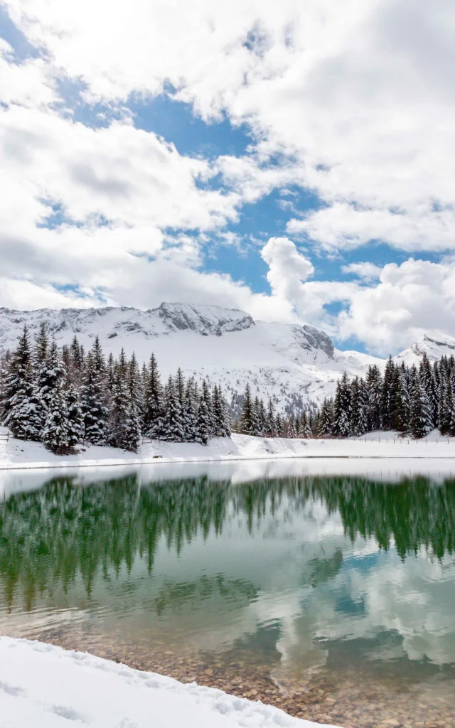 ©carolesavary Paysage Lac des prés Hiver- Villard de Lans