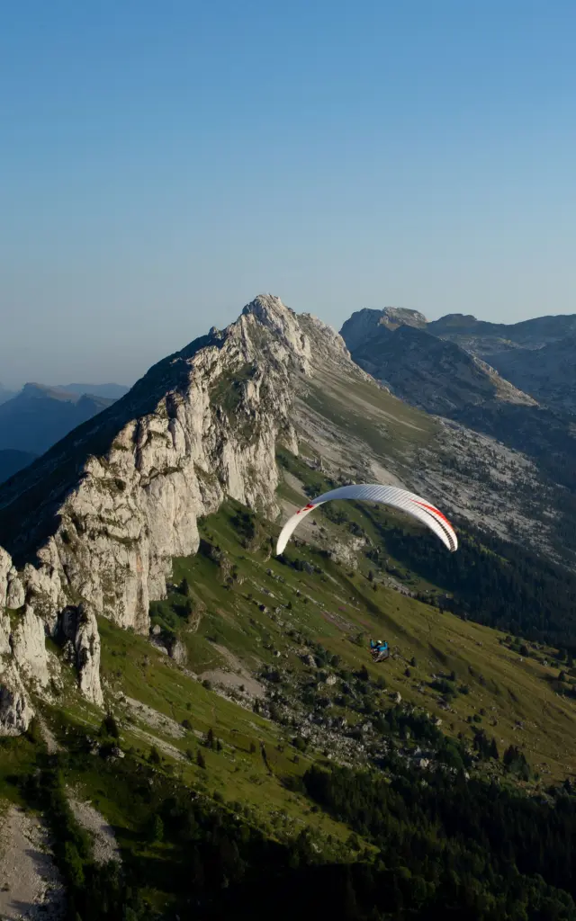 ©carolesavary Paysage Eté (67)