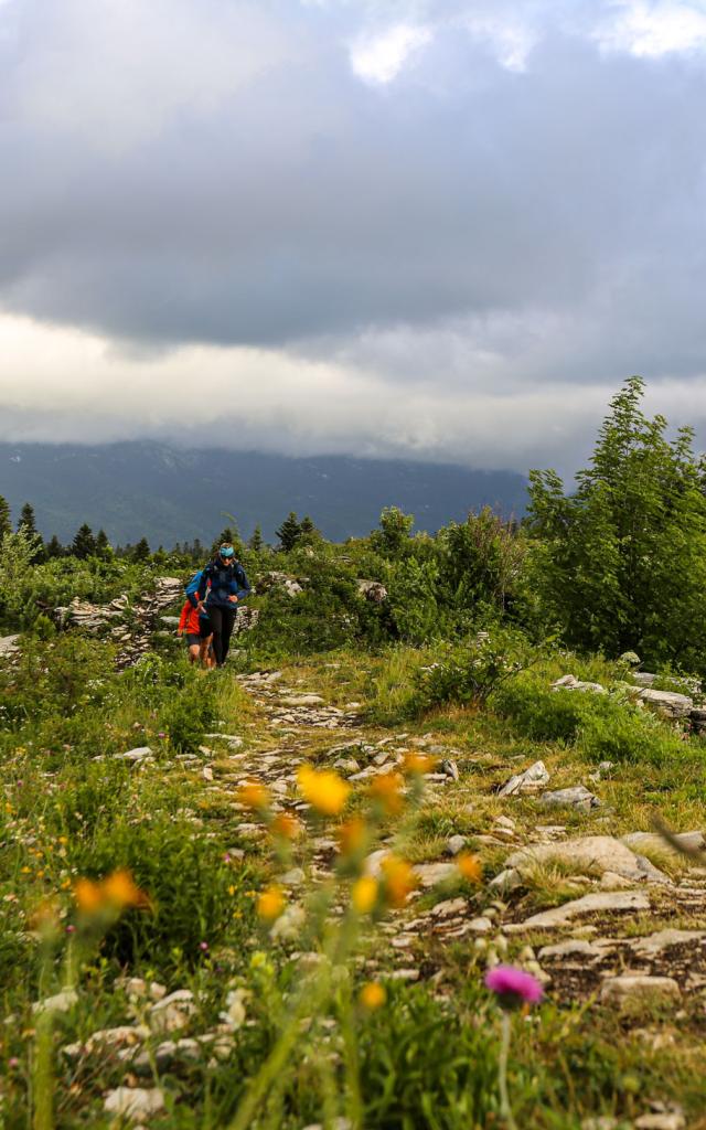 trail-claire-szymanek-17.jpg
