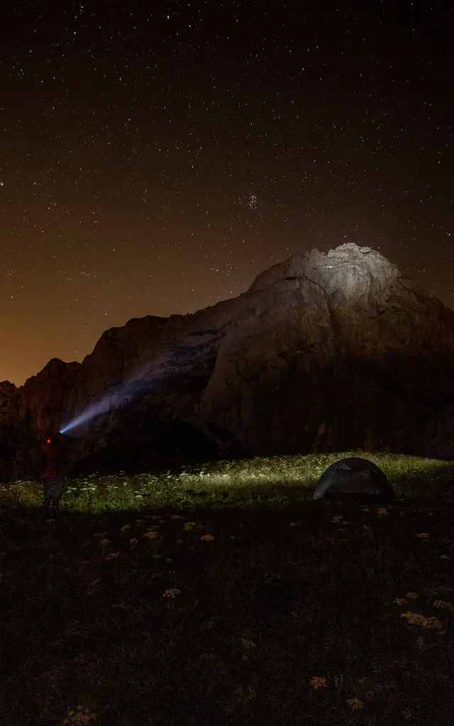 ©carolesavary Paysage Eté (88)