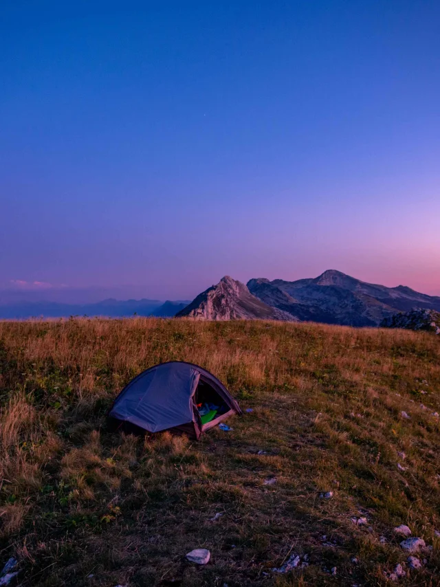 ©carolesavary Paysage Eté (140)