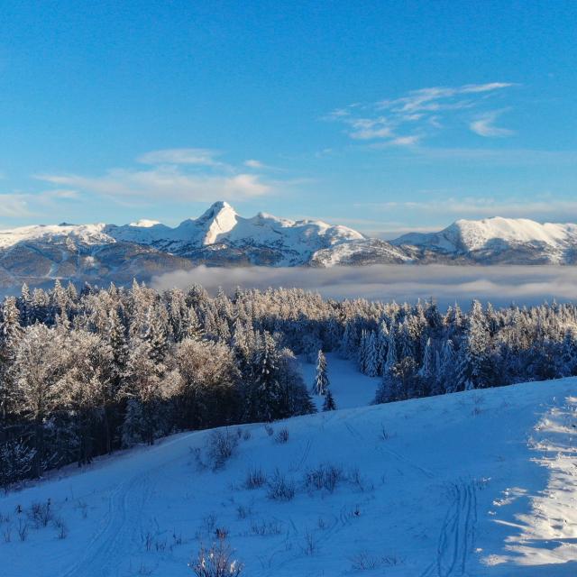 ©carolesavary Paysage Chateaujulien Hiver (2)