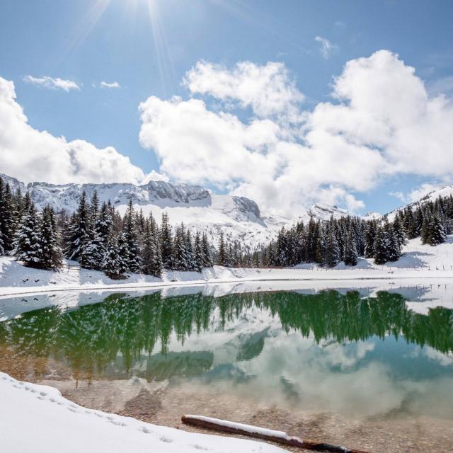 ©carolesavary Paysage Lacdesprés Hiver (6)
