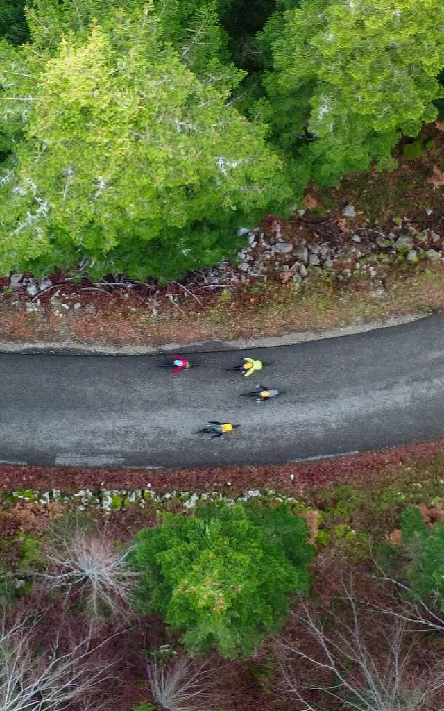 Screenshoot Bois Barbu (2)